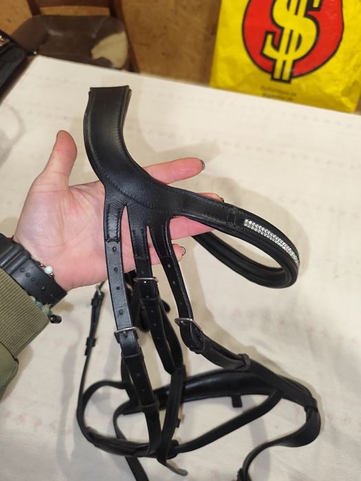 Ogłowie z cofniętą potylicą