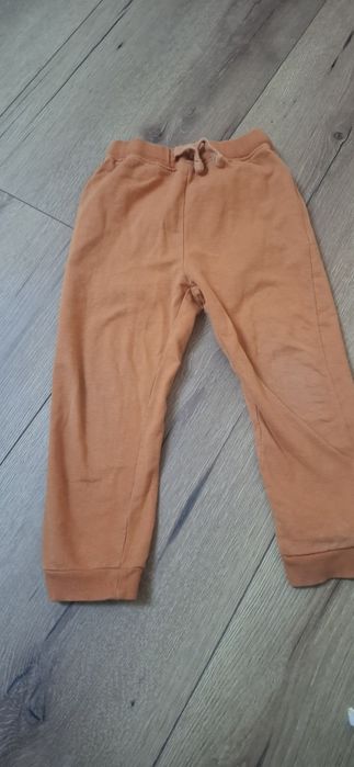 Spodnie dzień dyni 98