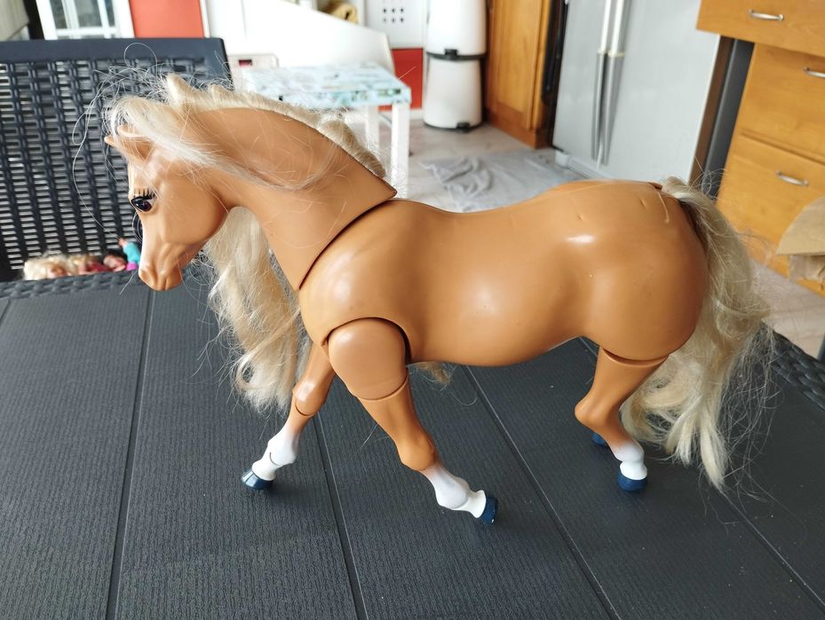 Barbies com acessórios