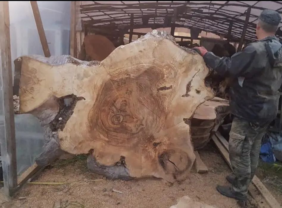 Ogromne plastry na stół lustro monolity orzech jesion czeczota klon