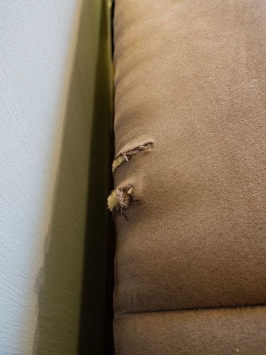 Kanapa / wersalka Tamara