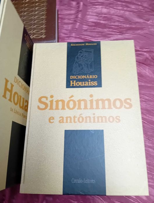 Dicionário Houaiss da Língua Portuguesa