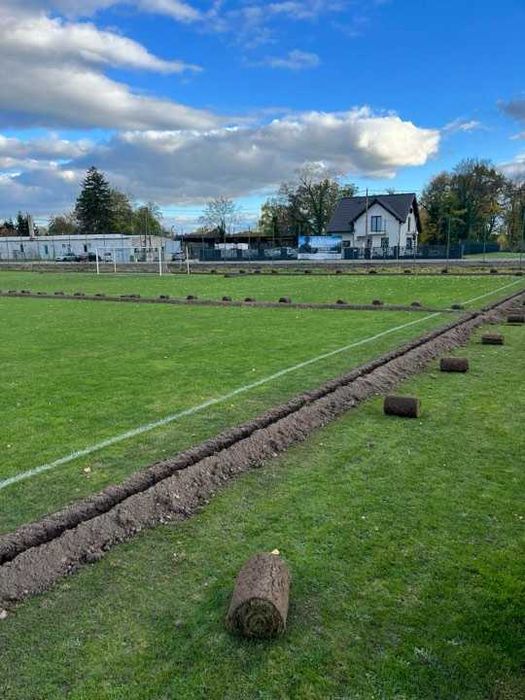 Usługi koparką łańcuchową