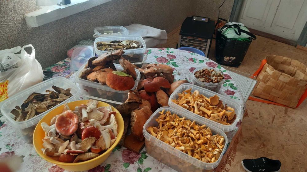 Продам будинок та земельні ділянки