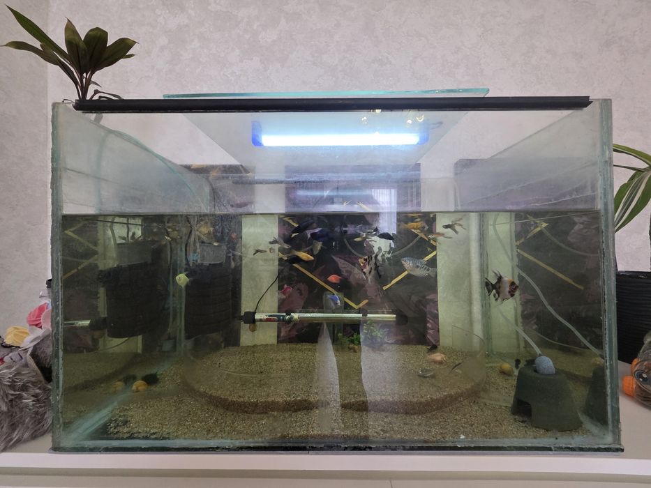 Акваріум на 120л з рибками