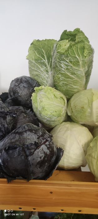 Regał drewniany na warzywa