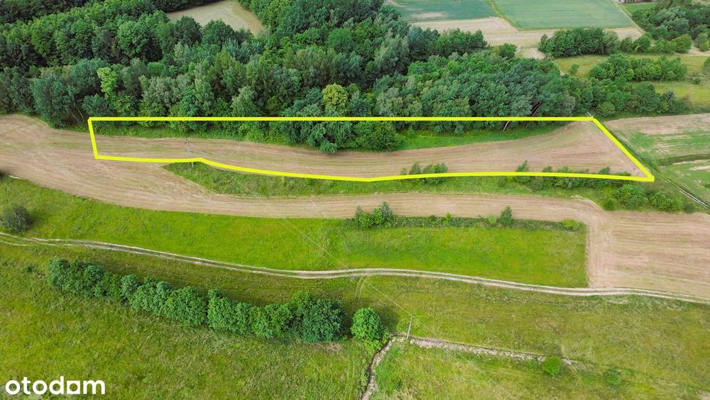 Widokowa działka z projektem domu (możliwość PnB) ! Czaniec | 51 ar!