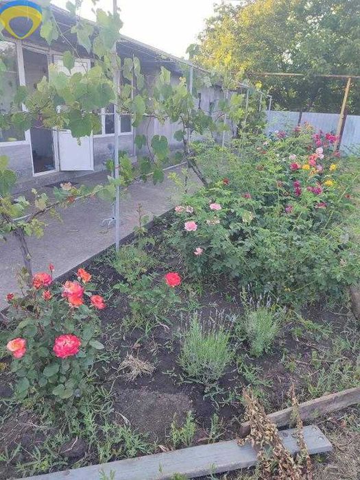 Продам дом з ремонтом та всіма зручностями! р9