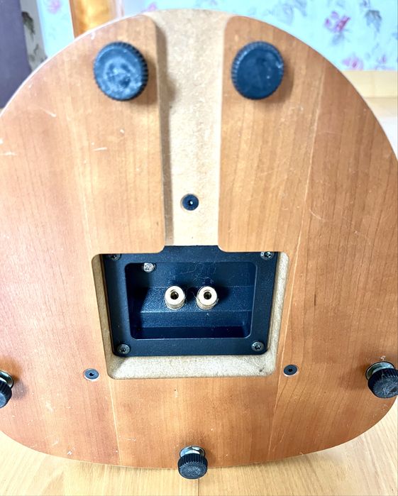 Hi End акустика T+A LGS 10 Lignim