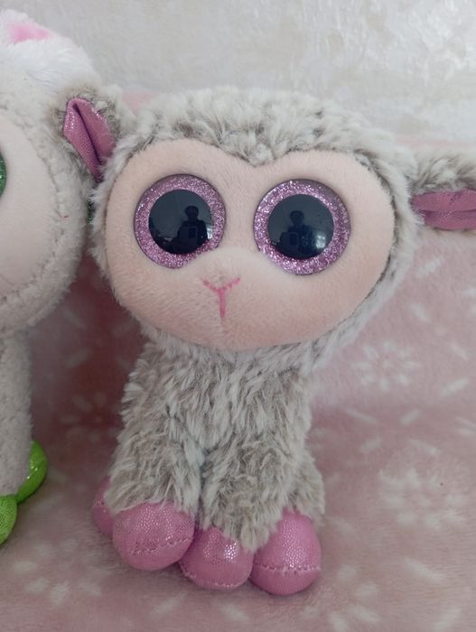 М'які іграшки овечка ягня глазастики Ty