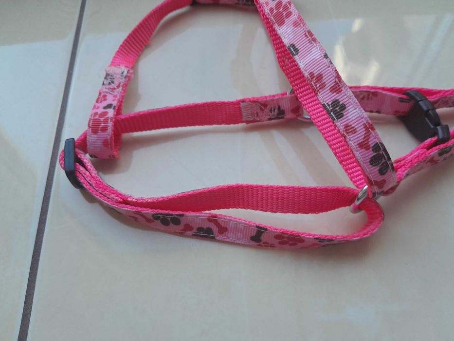 Шлея для маленькой собачки