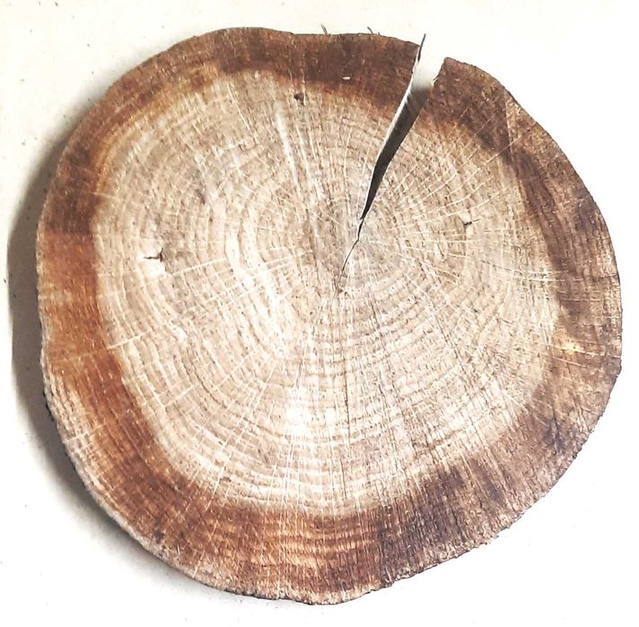 Plaster drewna drewniany dąb dekoracja stroik