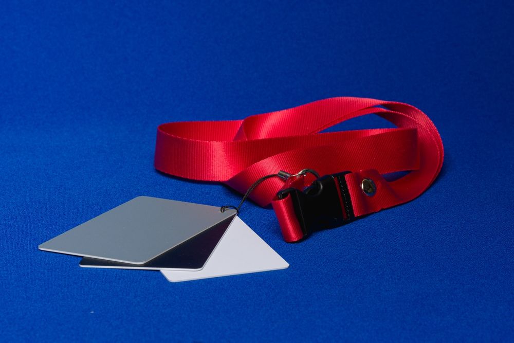 Cartão de balanço de brancos