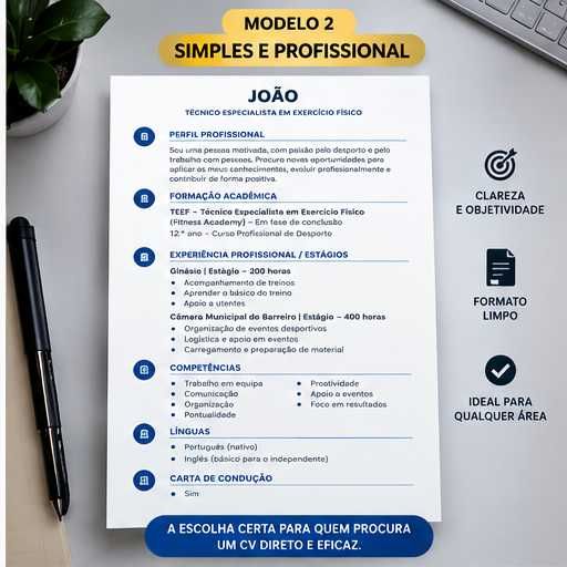 Criação de CV Profissional e Personalizado