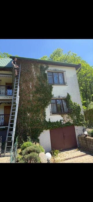 зрізання дерев методом арбористики зрізка обрізка чистка ділянок