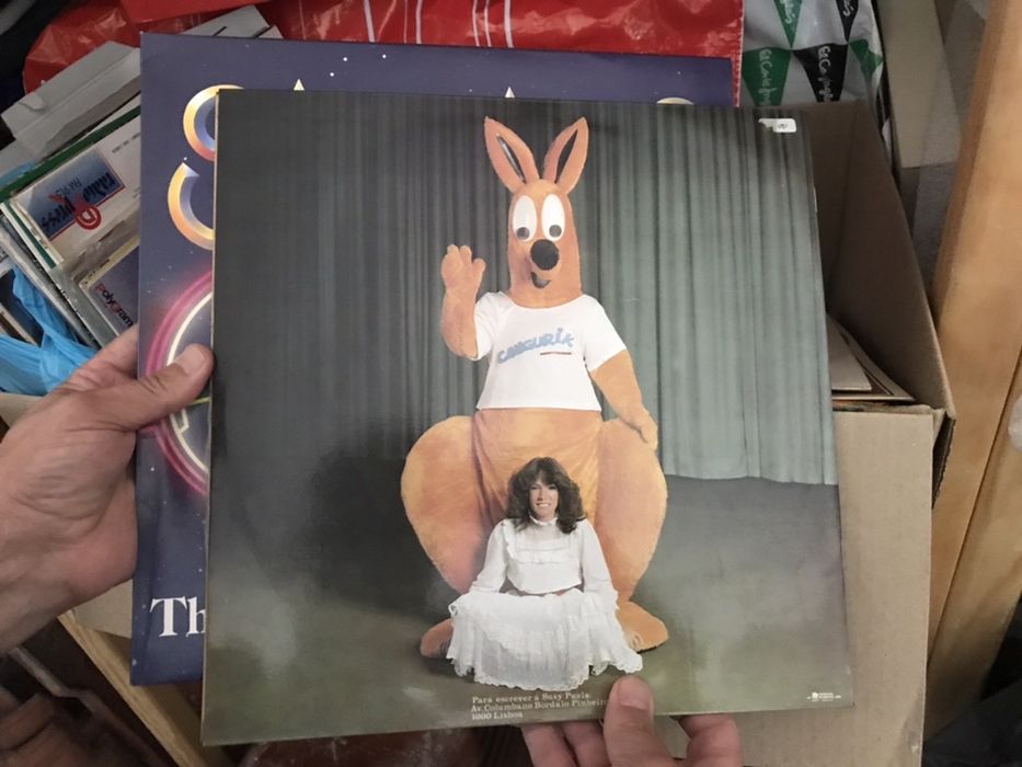 Vinis diversos para envio