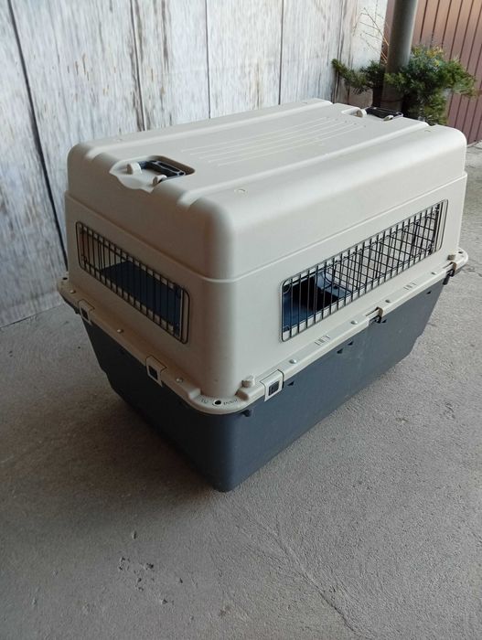 duży transporter dla psa / 496