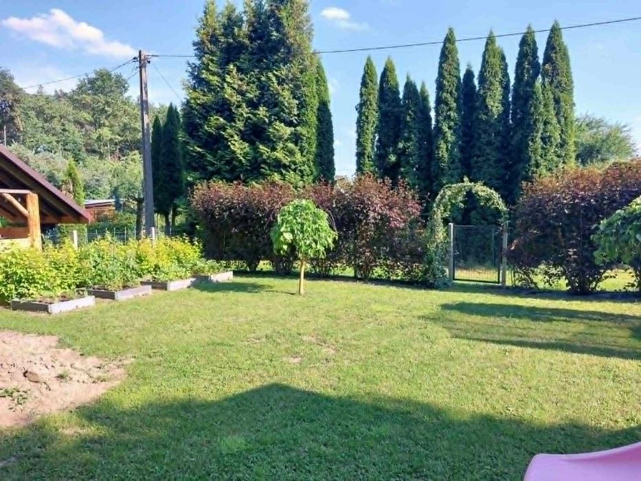 Działka rekreacyjna ROD - ogródek działkowy Jasień - Widok 2
