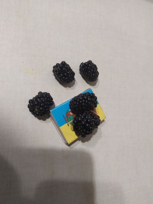 Саджанці ожини безколючкової