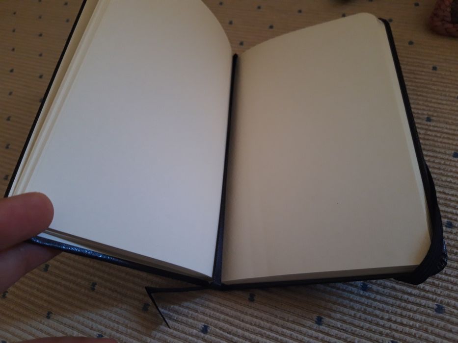 Bloco Landing Festival