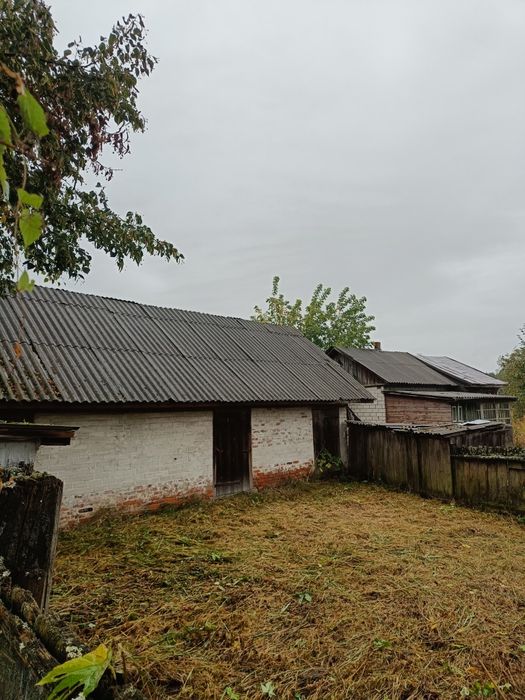 Будинок у мальовничому селі біля Десни, лісів та озер