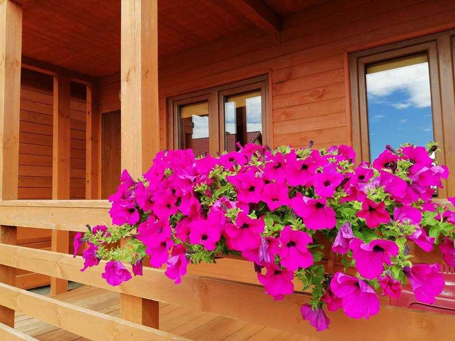 Domki blisko morza, Gąski, ul. Nadbrzeżna 55