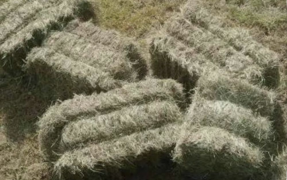 Sprzedam siano tegoroczne