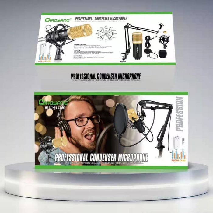 Microfone Condensador Profissional QA-T556