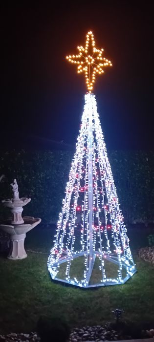 Illuminated Christmas Pine Tree