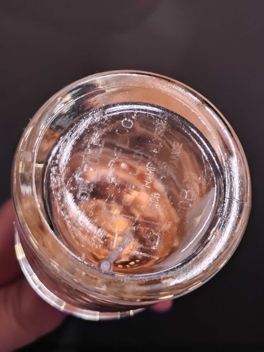 Aqua allegoria Guerlain woda toaletowa 2sztuki