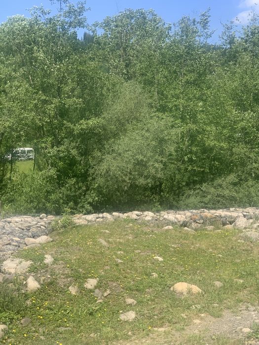 Мікроавтобус мінівен 8-ми місний