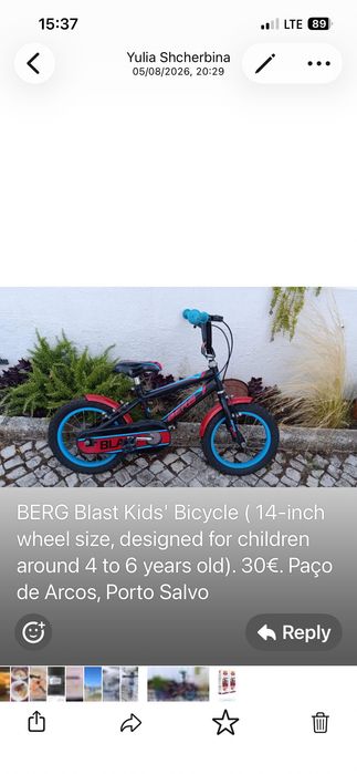 Bicicleta Infantil BERG Blast 14" (Roda 14) - 4 aos 6 Anos