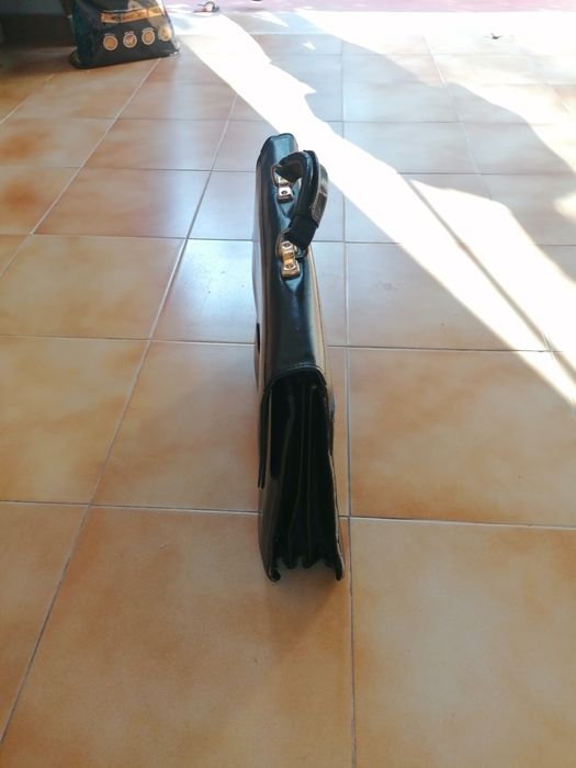 Pasta executivo em pele