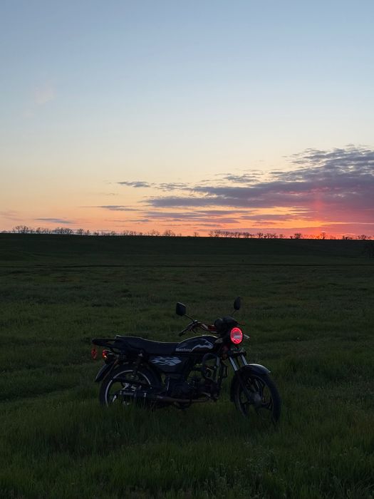 альфа мустанг 125