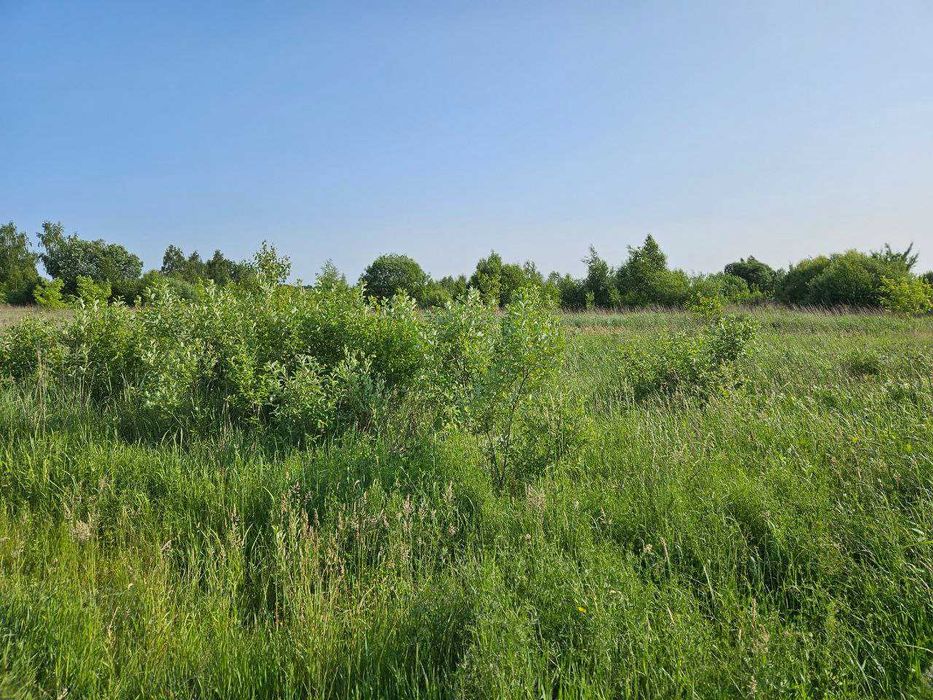 Продаж земельної ділянки 60 сотка у Крихівцях_VD