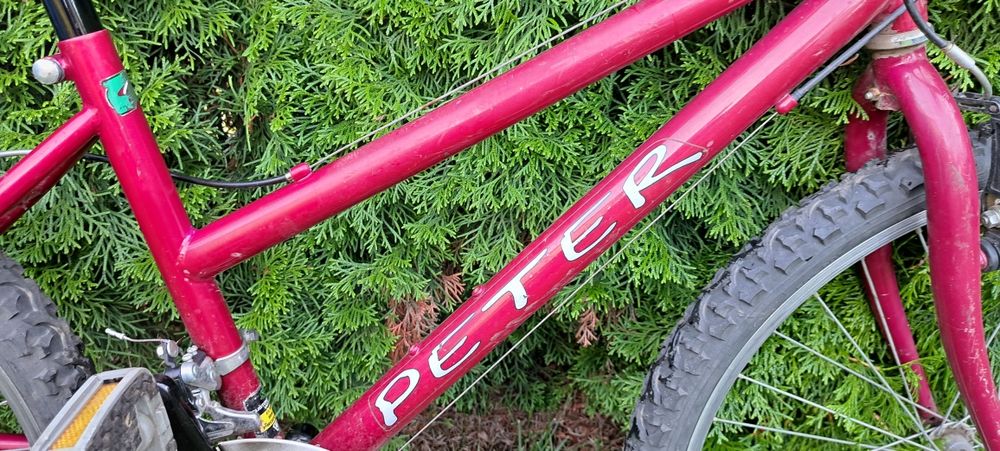 Rower PETER koła 24" osprzęt Shimano sprawny Poznań Ławica