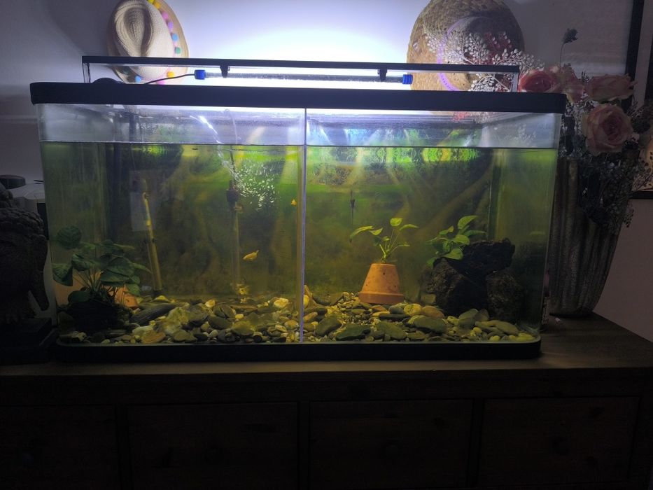 Vendo aquário de 120x40x55 cm