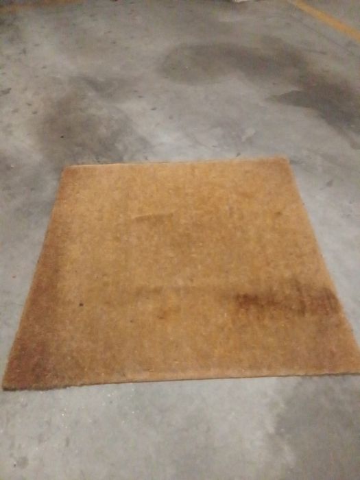 Large Entry Mat426077320664862721