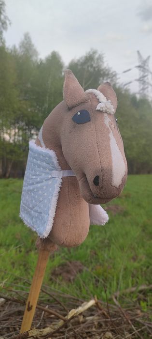 Kucyk hobby horse
