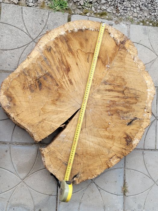 Duże plastry dębu sezonowane 6 lat – blat na stół, stolik, ławę – grubość ok. 15 cm