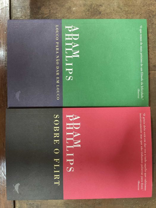 Louco para não dar em louco / Sobre o flirt - Adam Phillips