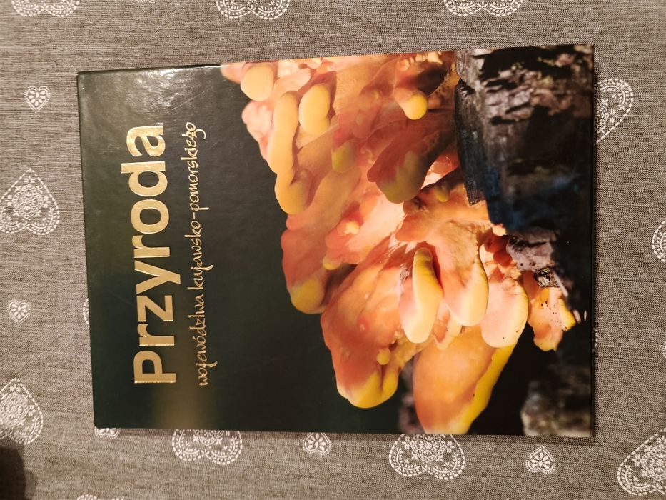 Przyroda województwa kujawsko-pomorskiego