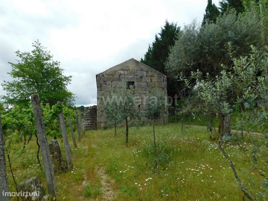 Terreno / Seia, Santa Comba