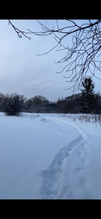 Земельна ділянка в с.Дольськ, Ковельського р-н