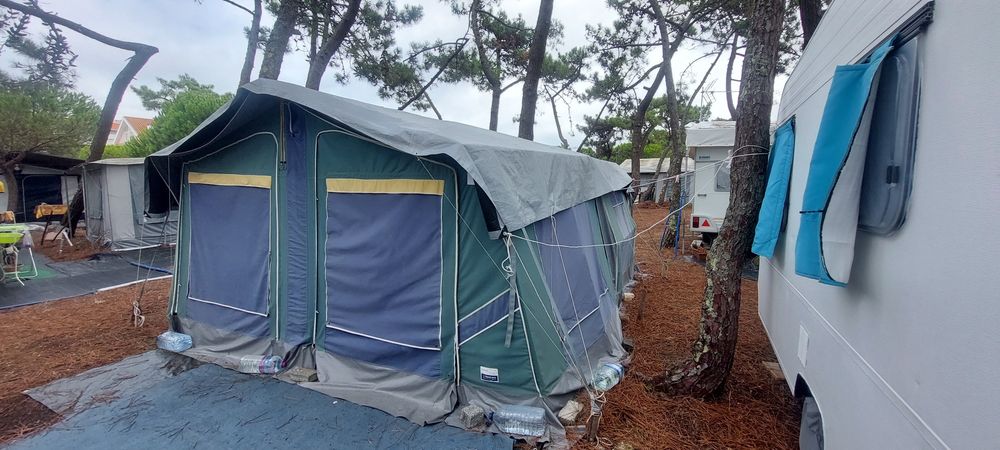 Autotenda saurium