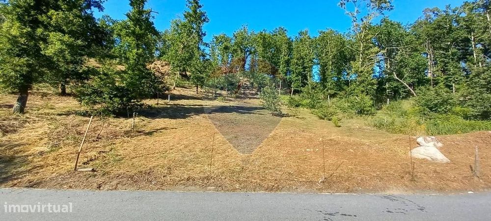 Terreno  para venda — Paçô, Viana do Castelo