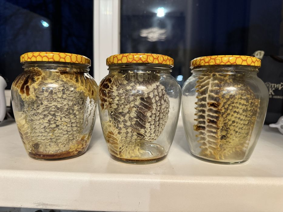 Натуральний мед в сотах