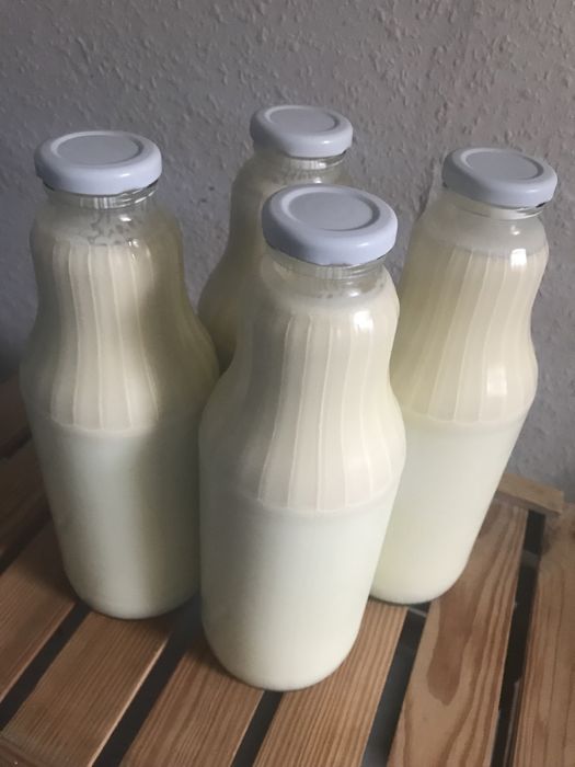 Mleko pełnotłuste, masło rzemieślnicze Simental/Jersey