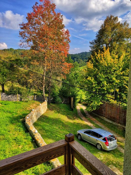 Оренда будинку с. Майдан Львівської обл, садиба "Затишок". Біля витягу