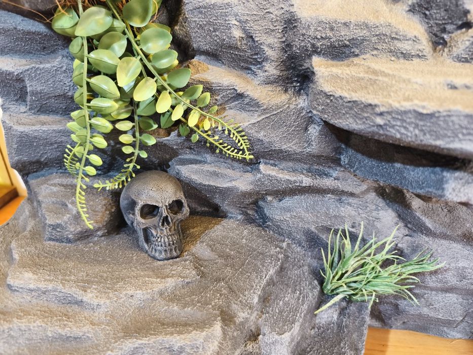 Ścianka do terrarium 3d 80x40h